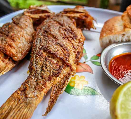 Nile Perch